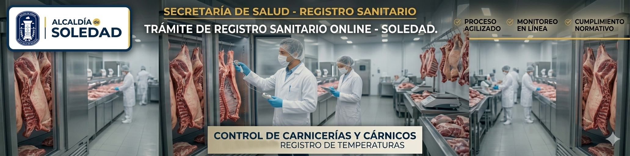 Control de Peluquerías