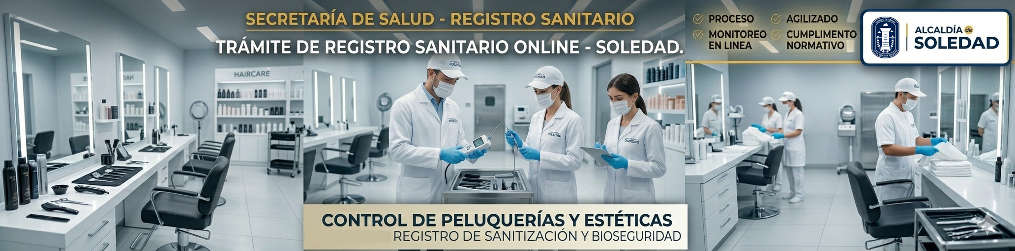 Control de Peluquerías